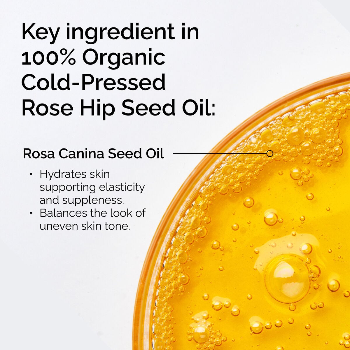 100-organic-cold-pressed-rose-hip-seed-oil-c4 FY25-D41247-ORD-Web-PDP-100-Rose-Hip-Oil-1x1-EN-2.jpg