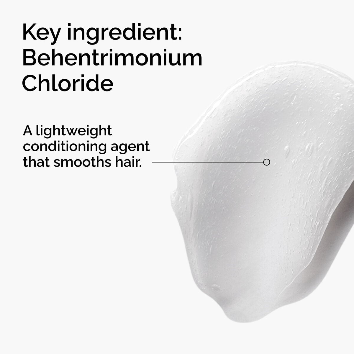 behentrimonium-chloride-2-conditioner-r7 FY25-D41247-ORD-Web-PDP-BTC-1x1-EN-2a.jpg