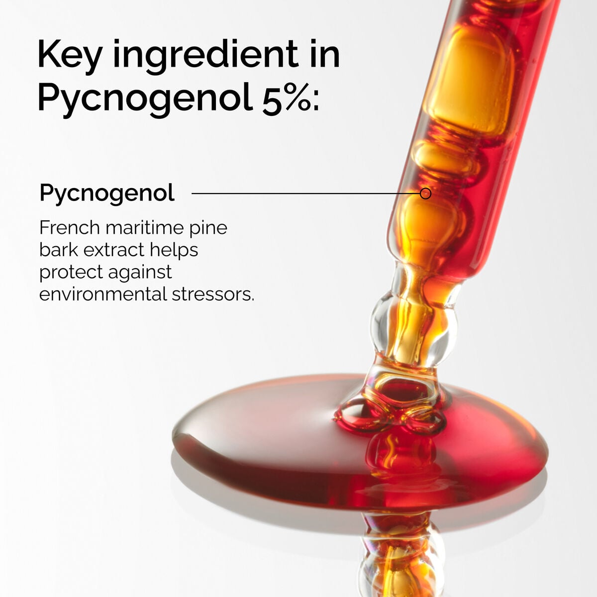 pycnogenol-5-u0 FY25-D41247-ORD-Web-PDP-Pyc-5pct-1x1-EN-2a.jpg