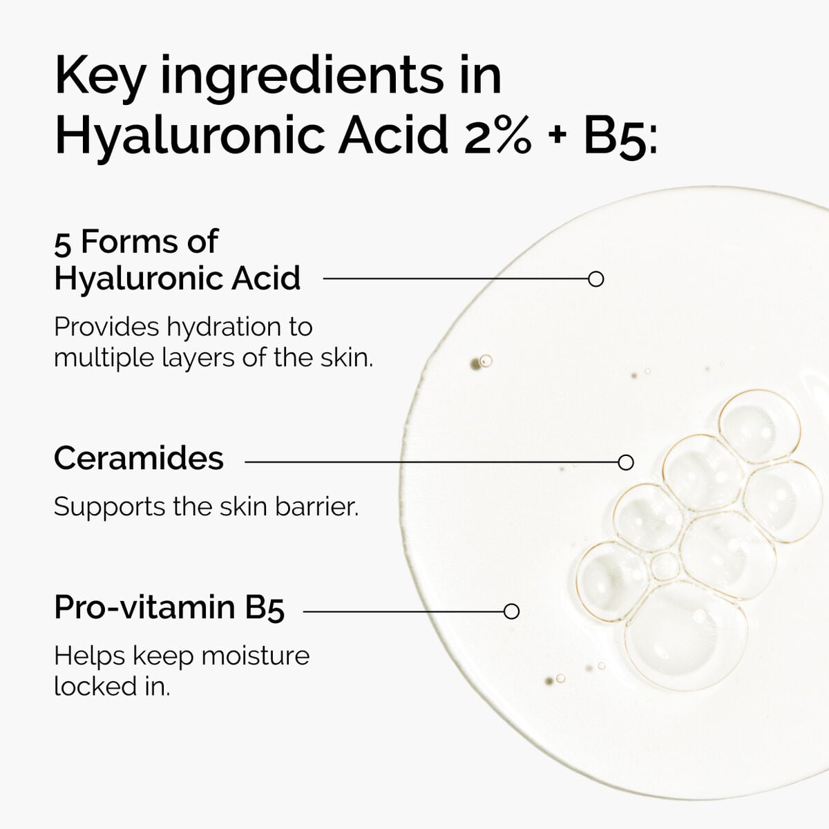 hyaluronic-acid-2-b5-with-ceramides-o7 ord-hyaluronic-acid-2pct-b5-hydrating-serum-ingredients-graphic.jpg