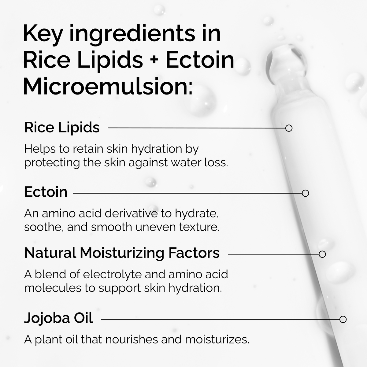 rice-lipids-ectoin-microemulsion-j7 ord-rice-lipids-ectoin-microemulsion-key-ingredients.png